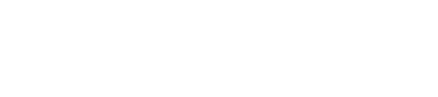 logo phoenix white