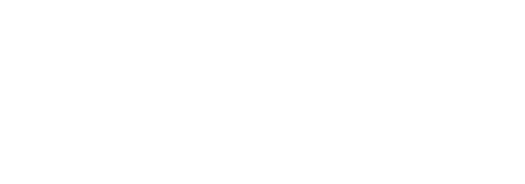 logo produkt vision white