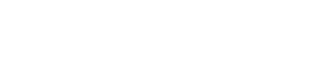logo stiftung bildung white